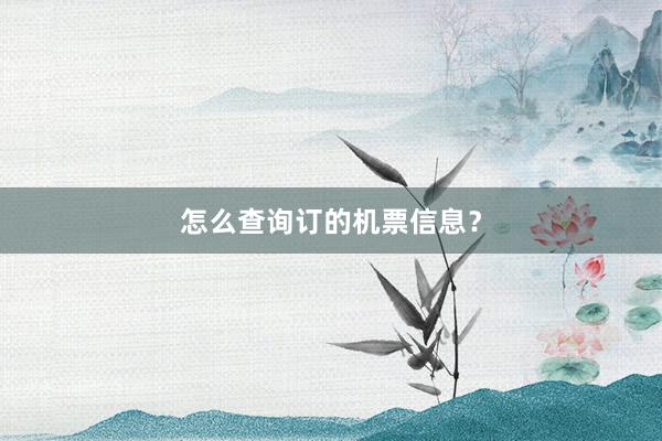 怎么查询订的机票信息？