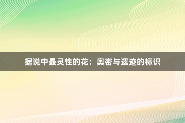 据说中最灵性的花：奥密与遗迹的标识