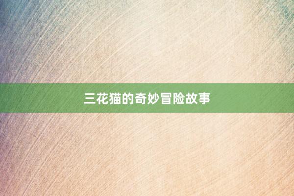 三花猫的奇妙冒险故事
