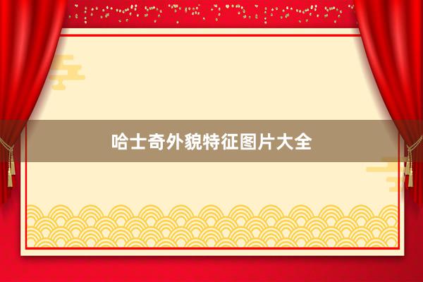哈士奇外貌特征图片大全