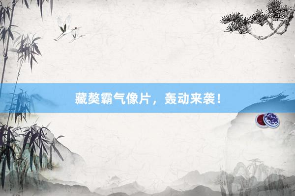 藏獒霸气像片，轰动来袭！